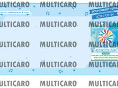 2022년 국카스텐 사운드베리페스타 티켓꽃이