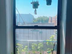 섭씨 34도의 무더운 날씨