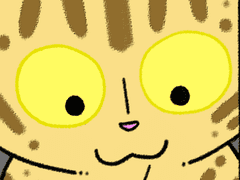 알아듣는 거 같았는데