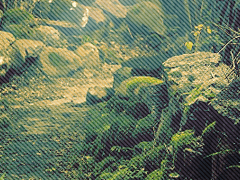 風前燈火_바람 앞의 燈