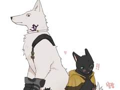 [산크차밤] 댕냥이