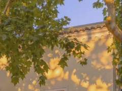 제5인격 30일 챌린지 생존자