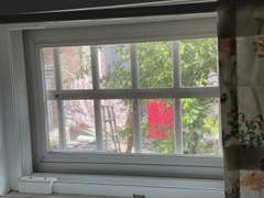 주방 창문 너머