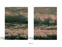 Sold out. Don’t MOVE