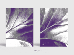 162. 피로 쓰인 서사시