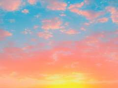 나의 봄, 나의 새벽. 프리모.