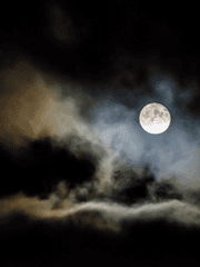 크레센도 : 죽은 비명의 밤