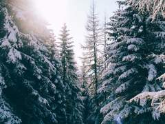 사랑하는 나의 뱀파이어에게 02