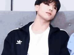 햄스터수인 박지셩 키우기