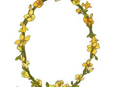 프리지아 프레임