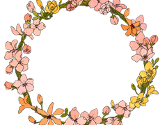 분홍 꽃 프레임