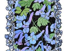 델피니움 프레임