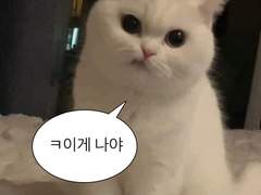 선여주 엔시티 새멤버가 되다..!!! ++