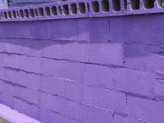 갓생 살아야 하는 저주 걸림-1