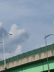 갓생 살아야 하는 저주 걸림