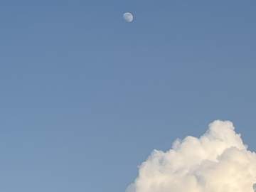 [도화커] 청 양 / 18