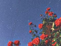 ※ 이 가게는 알바생이 잘생겼습니다.