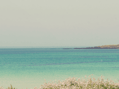 [BL] 이상하고 또 이상한 -1-