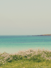 이상하고 또 이상한