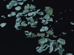 조각이 완전에게 묻는다