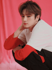 짝사랑 노스트럼