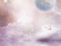 이상한 나라의 갈라테이아 上