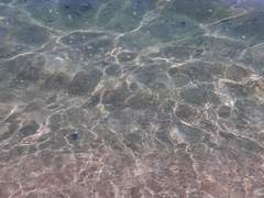 앙스타 츠무나츠 - 그날이후 너는 없다( 사망, 자해소재 있음