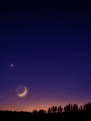 이상하고 아름다운