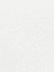 한여름의 제비꽃