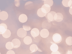 Lie, fake, imitation