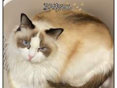 쥬비뚜비일기 5화