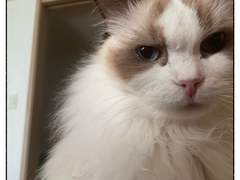 쥬비뚜비일기 6화