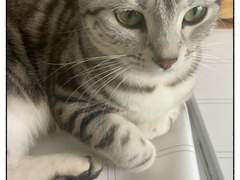 쥬비뚜비일기 7화