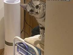 쥬비뚜비일기 8화