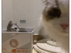 쥬비뚜비일기 10화