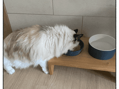 쥬비뚜비일기 12화