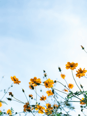 4. 남사친의 습격