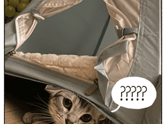 쥬비뚜비일기 13화