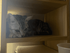 쥬비뚜비일기 14화