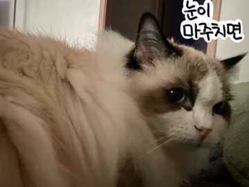 쥬비뚜비일기 17화