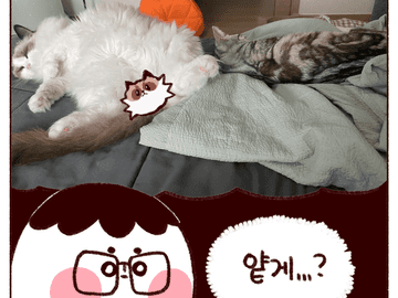 쥬비뚜비일기 19화