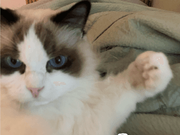 쥬비뚜비일기 20화