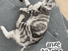 쥬비뚜비일기 22화