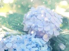 [렌탄] Dear beloved (후기)