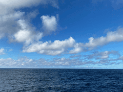 부부일기 : 신혼여행편 9화