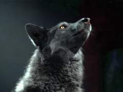 전학을 왔는데..... 우리 학교가 좀 이상한 것 같아 12