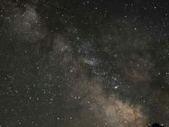 그게 너였으면 더 좋았을까