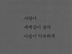 부서지는 바다 위 안개꽃이 아름다워서.