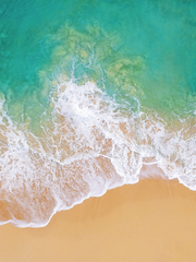 소년, 세상을 촬영하다