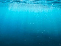 [청려문대] 1화 - 합리화